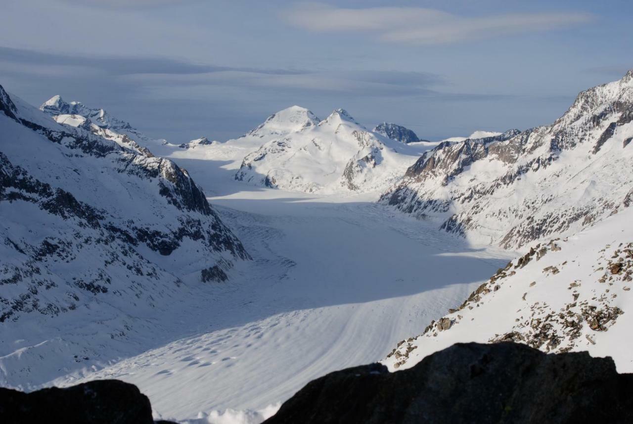 Mischabelblick Lejlighed Fiesch Eksteriør billede