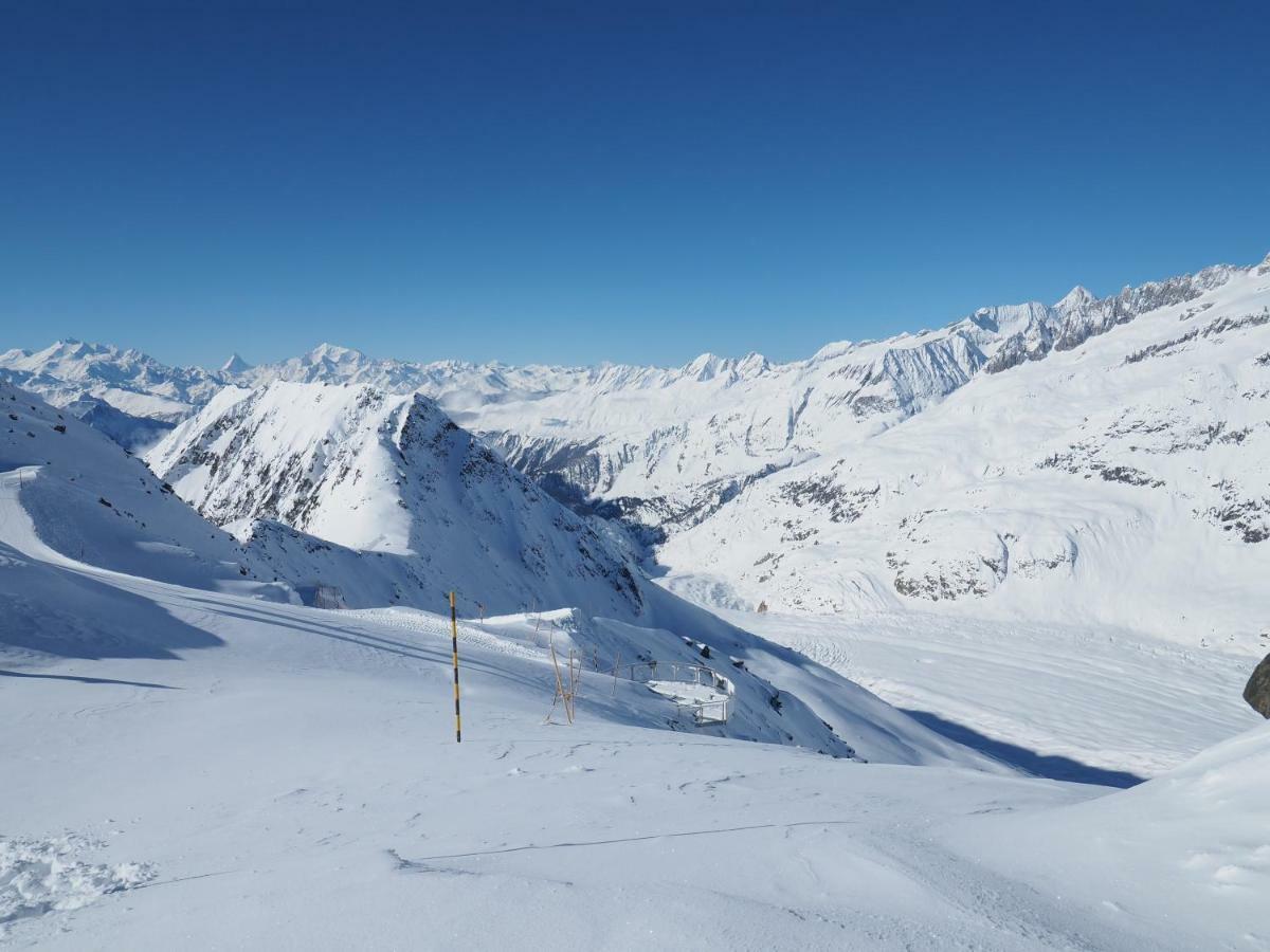 Mischabelblick Lejlighed Fiesch Eksteriør billede